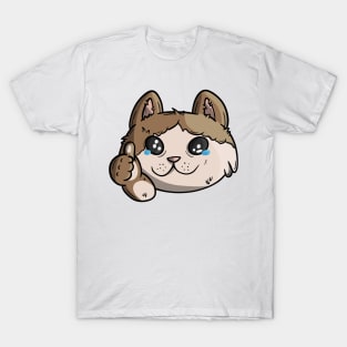 All is ok Gato Meme T-Shirt